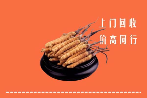 太平区回收散虫草