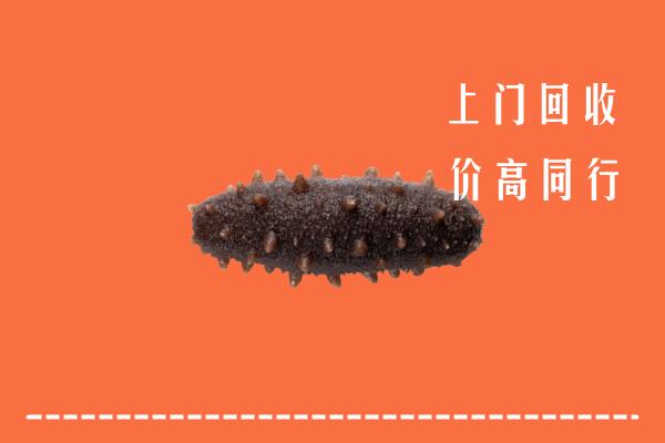 太平区回收海参