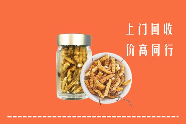太平区回收冬虫夏草