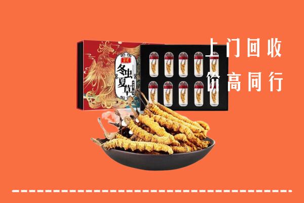 太平区回收虫草